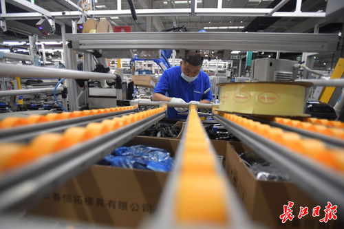 偉巴斯特武漢工廠提前投產(chǎn)，區(qū)域外資工業(yè)集聚效應(yīng)凸顯